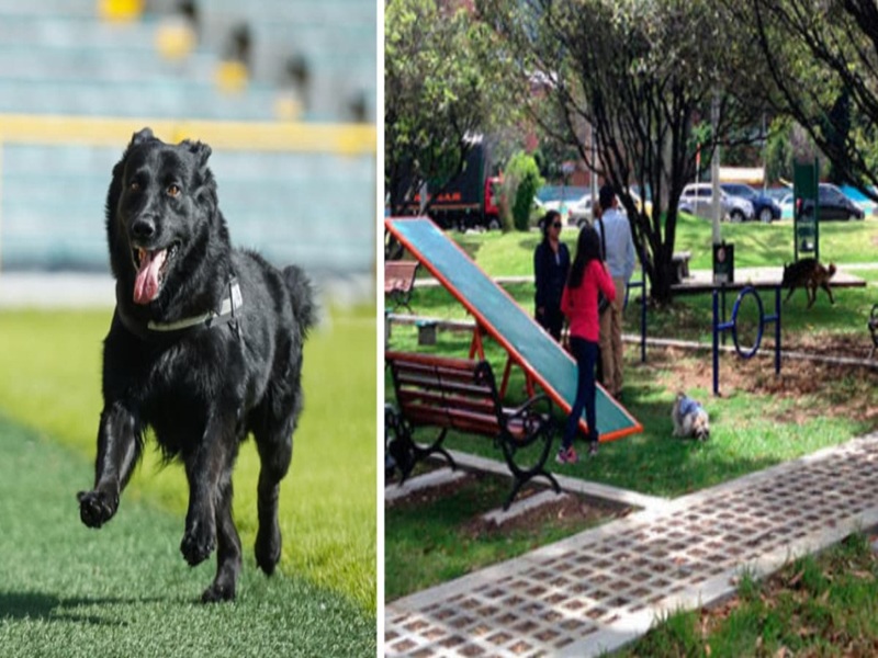 Parque para mascotas